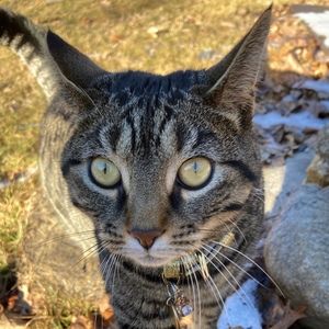 Meet your Posher, Marie